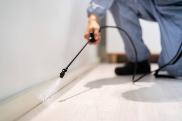 Licensed Cockroach Control service in Sherman, IL - Nex Pest Control