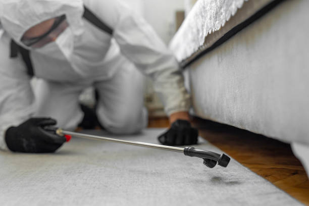 Professional Cockroach Control technician working in Sherman, IL