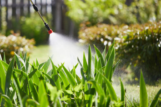 24/7 Emergency Cockroach Control experts in Sherman, IL