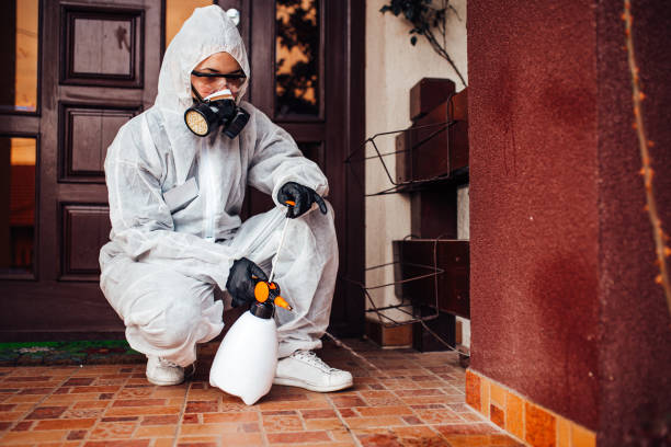 Reliable Cockroach Control contractor in Sherman, IL by Nex Pest Control