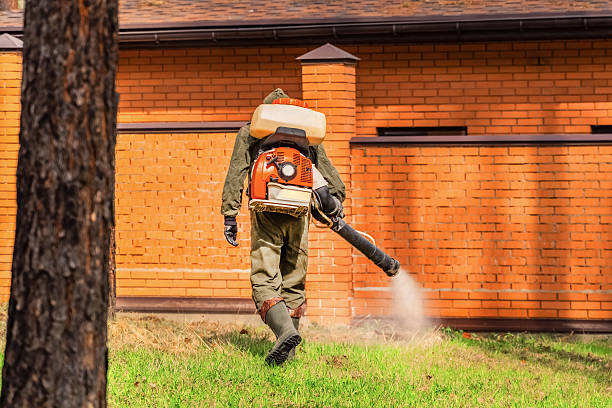Top rated local Cockroach Control specialists in Sherman, IL